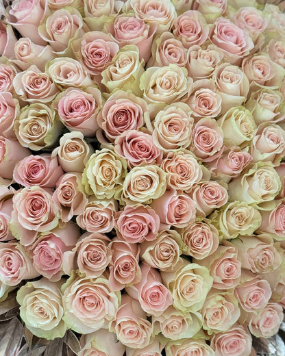 Peach Roses