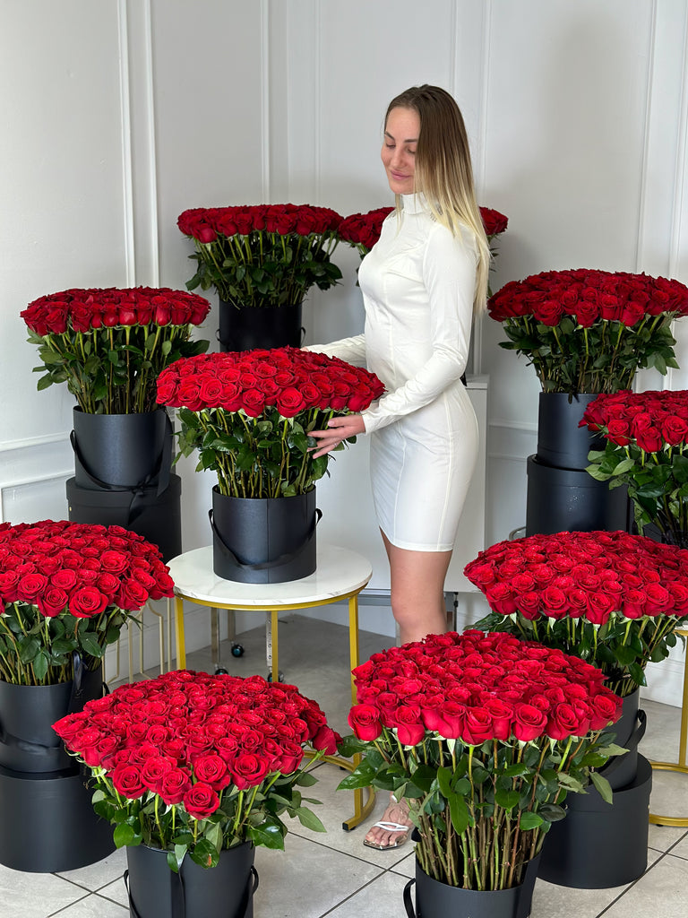 Magic of 1000 Roses