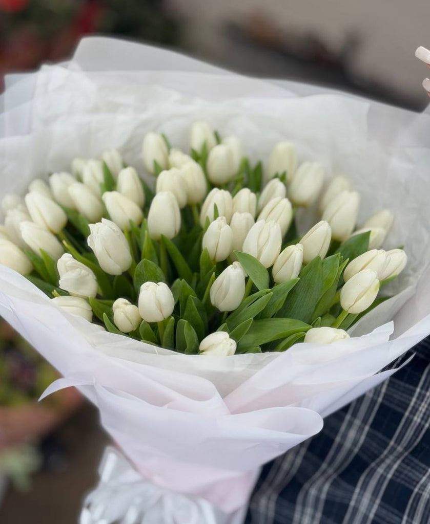 Snow Bloom